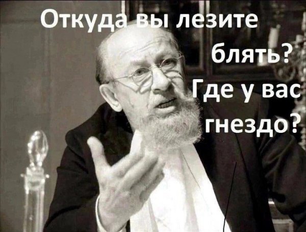 IMG 20260302 035819