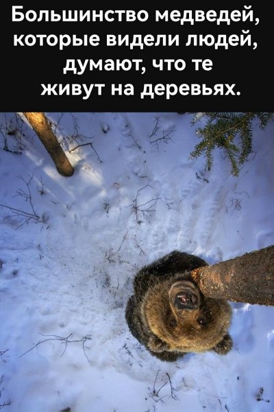 p.1200.1200.0