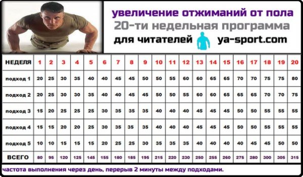 Увеличение отжиманий от пола
