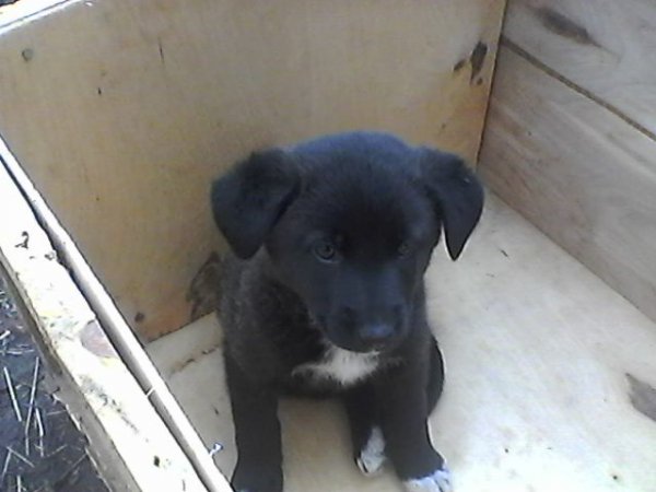 Photo0116