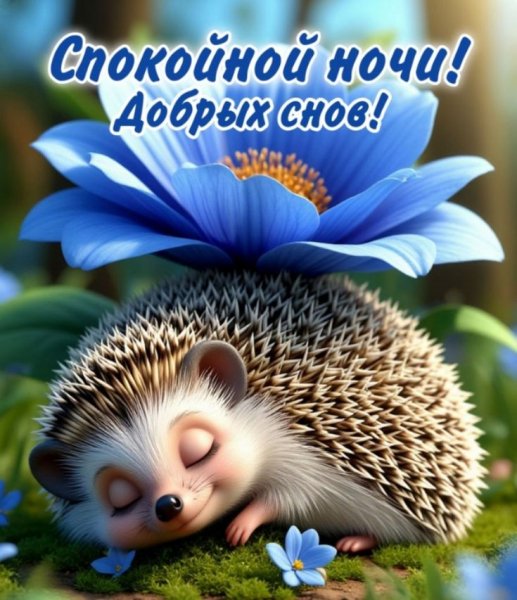 0fe1b117354a482acb7c2e7af0d6bf2c