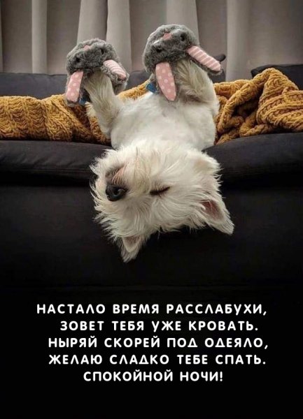 Спокойной ночи!