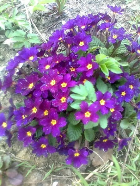 С1Фото (3)