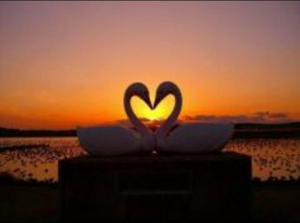 getImage (6) (1)