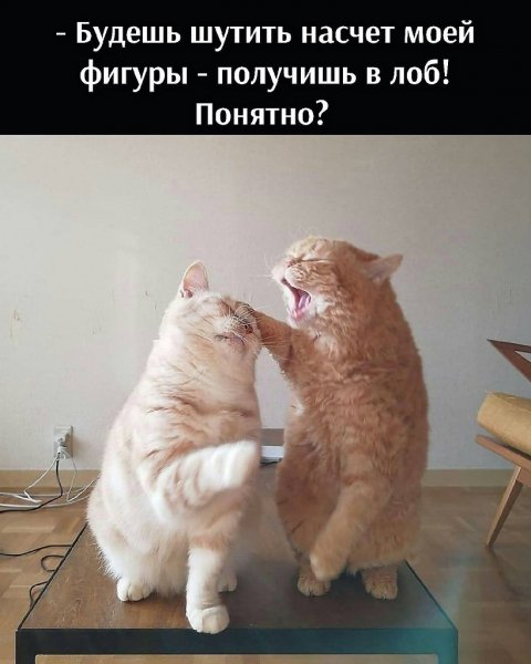 Опаньки!