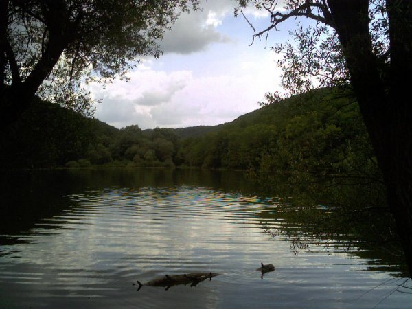 Photo 0225(1)