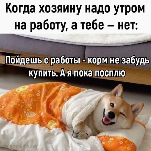 А я пока посплю