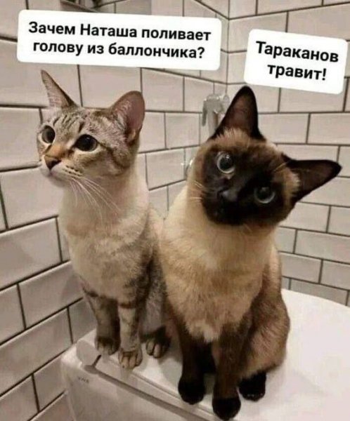 Опаньки!