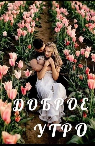 Любовь