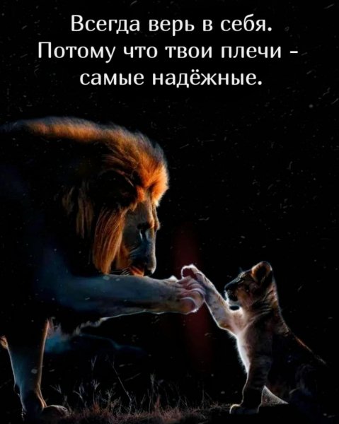 IMG-20260108-WA0317