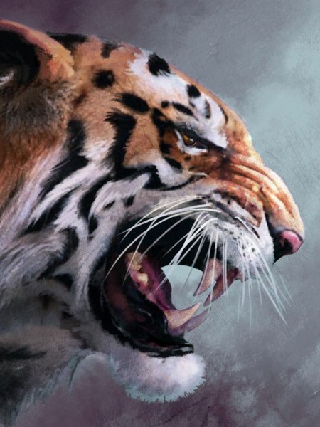 zloy-tigr