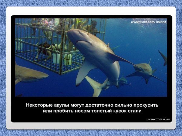 Такое дело!