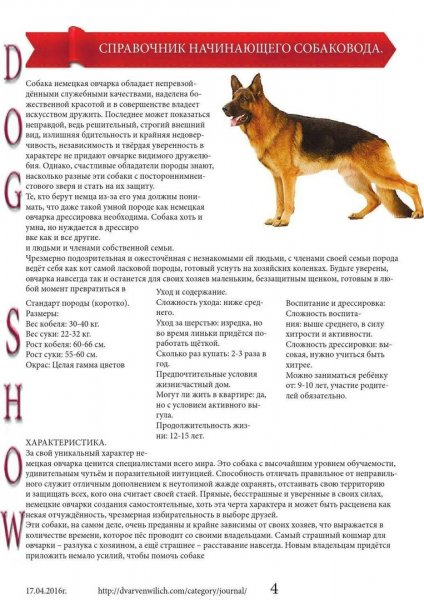 Немецкая овчарка