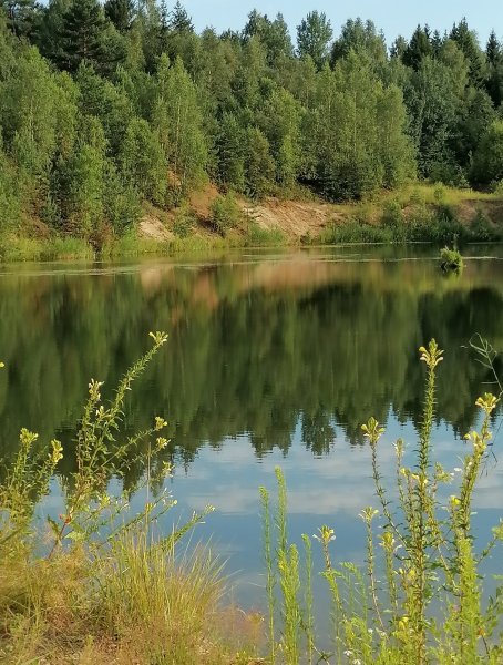 picture_396939997