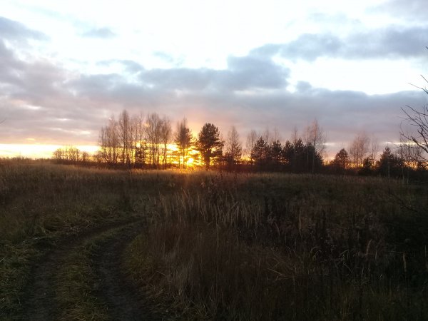 ЗЛОБНОЕ