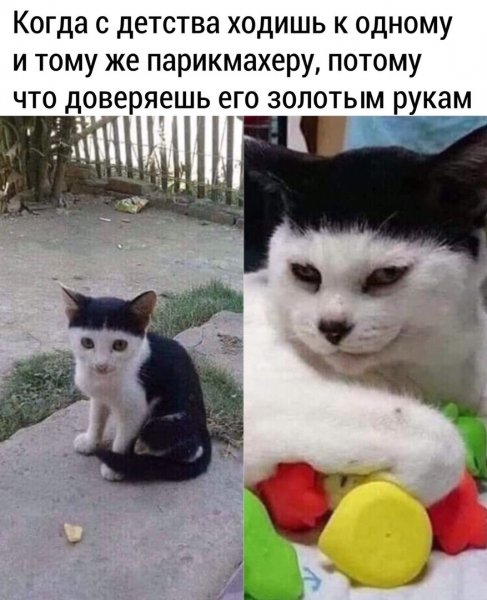 DJTY2 npkLo