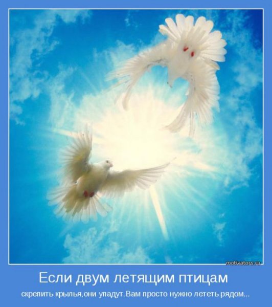 novye-iyulskie-motivatory-11