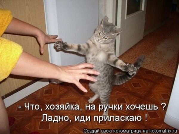 picture_168873730