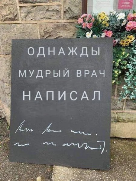 IMG 20241023 110755