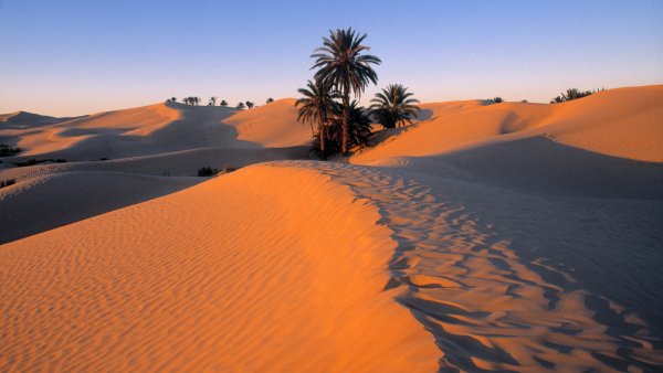 Sahara Desert, Douz, Tunisia