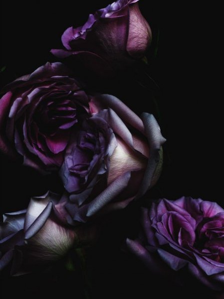 Photoart (8)