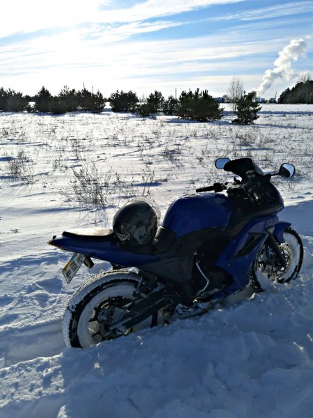 picture_289950806
