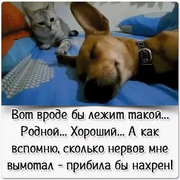 Да! ))