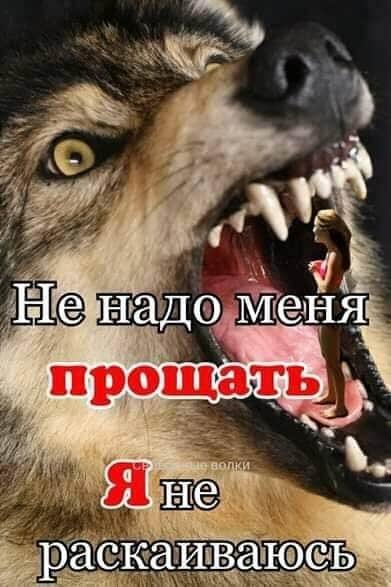 FB IMG 1595948123318