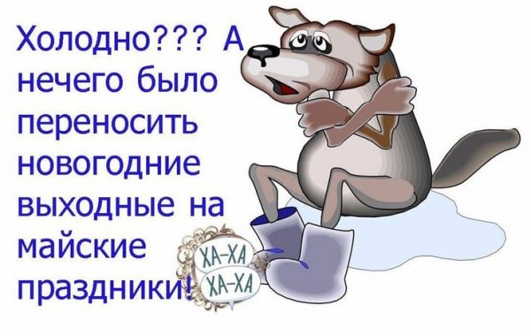 C2e763378fe03f6c628ae9d50ce03cd2