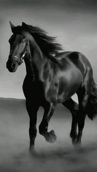 1e09dce6efabb113e2a4b05eb7c98f01