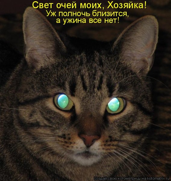 Печалька