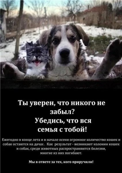 Ты уверен???