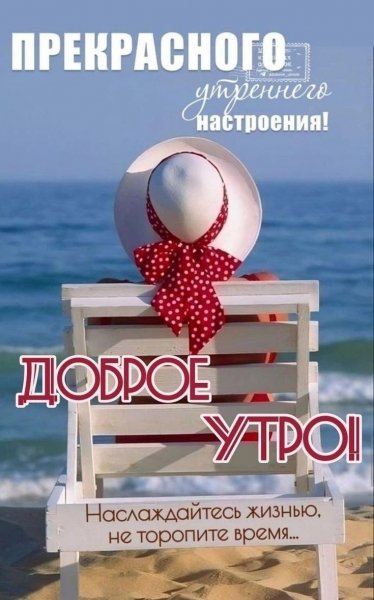 Друзья мои!