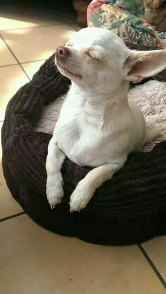 Enjoying the sunlight