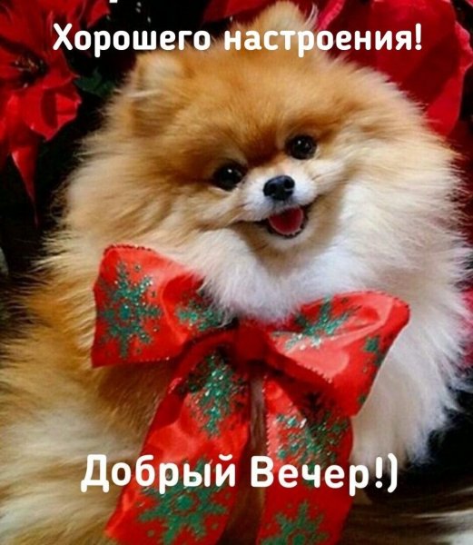 Всем вам!