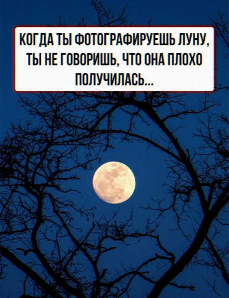 Hdnc12P2hHcPs-lVW-IEHkYFlPm3sHHQvwtMLOej6SrGH0xTzSr1Z5HaFiyY