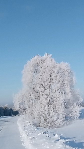 picture_355363130
