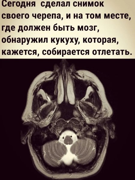 p.1200.1200.0