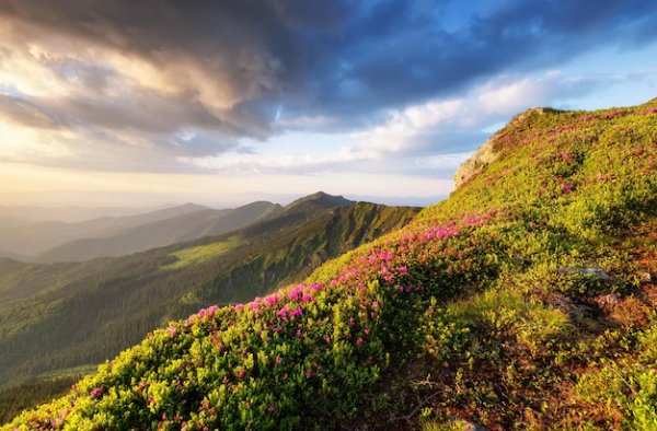 Landscape-summer-time