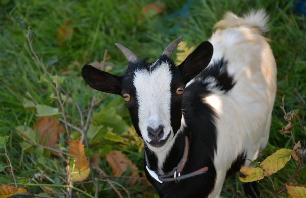 image 0860