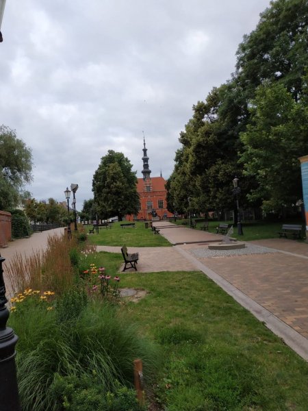IMG-20190716-WA0003