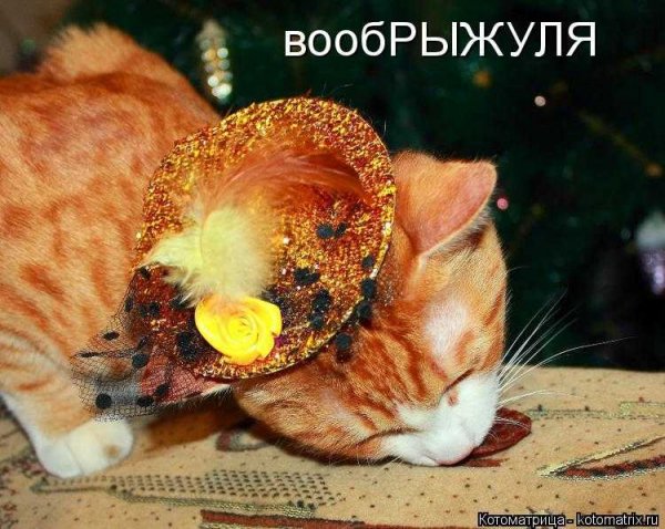 Вообрыжуля