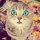 MinecraftSP-
