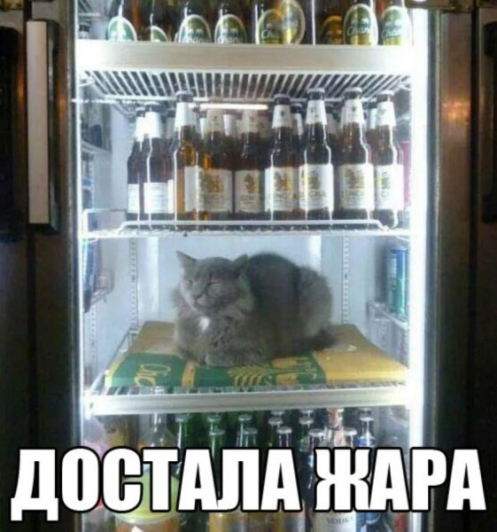 )))))