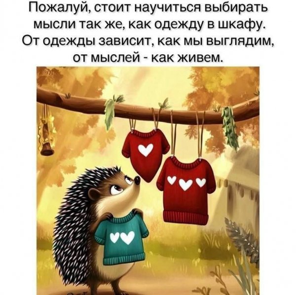 8hHolHh0wqFoVUm0YCc5XJB12yBd6Mn7A8H6xNmHJkeJ7SlaoyqqrdJL9b-A