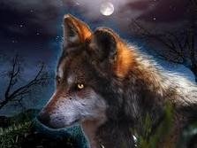 images (10)