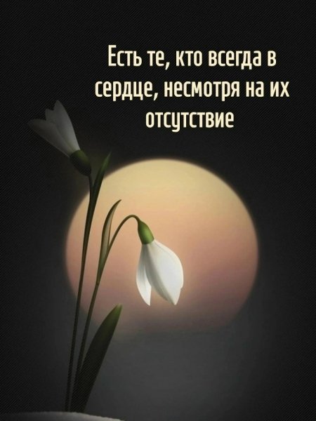 NlE4iGxKAJ5RNzIQJ1bo93twl62cPxQRgCr7umNDoncvK6paB7LCsCnQGQ9V