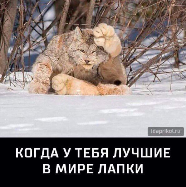 FB IMG 1511085648995