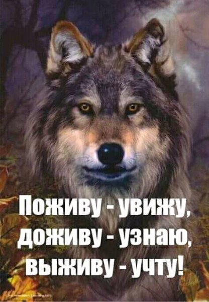 FB IMG 15393222473086813