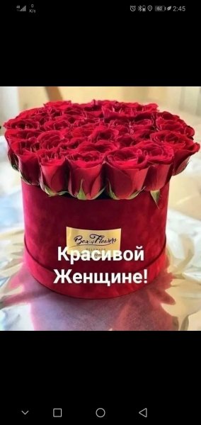 picture_392754893